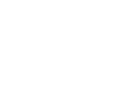 Lokalny Program Stypendialny VIVE